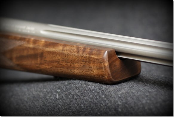 Varmint Forend